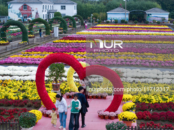 Tourists view chrysanthemums at the Chrysanthemum Garden at Jiangning Lake in Nanjing, China, on October 27, 2024. 