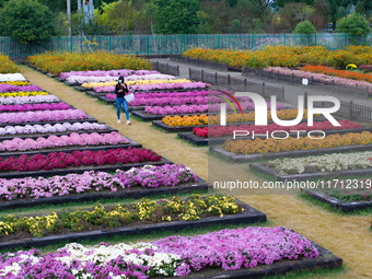 Tourists view chrysanthemums at the Chrysanthemum Garden at Jiangning Lake in Nanjing, China, on October 27, 2024. (