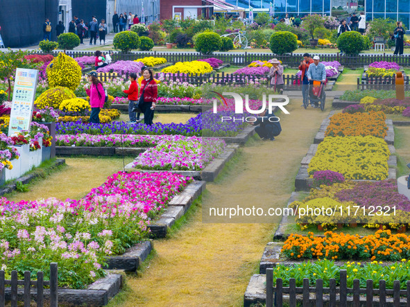 Tourists view chrysanthemums at the Chrysanthemum Garden at Jiangning Lake in Nanjing, China, on October 27, 2024. 