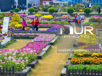 Tourists view chrysanthemums at the Chrysanthemum Garden at Jiangning Lake in Nanjing, China, on October 27, 2024. (