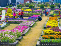 Tourists view chrysanthemums at the Chrysanthemum Garden at Jiangning Lake in Nanjing, China, on October 27, 2024. (