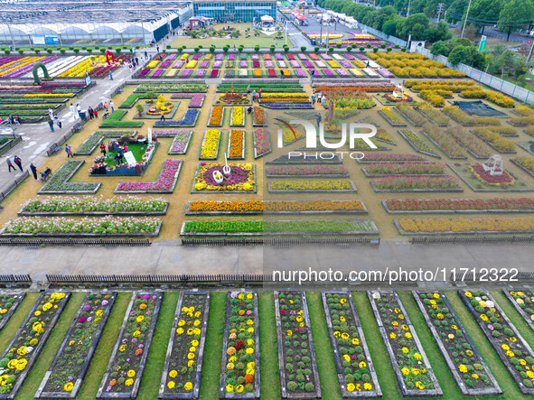 Tourists view chrysanthemums at the Chrysanthemum Garden at Jiangning Lake in Nanjing, China, on October 27, 2024. 