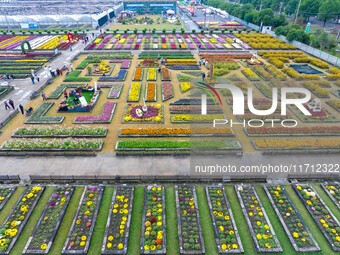 Tourists view chrysanthemums at the Chrysanthemum Garden at Jiangning Lake in Nanjing, China, on October 27, 2024. (