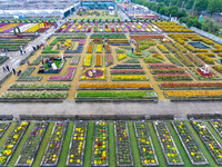 Tourists view chrysanthemums at the Chrysanthemum Garden at Jiangning Lake in Nanjing, China, on October 27, 2024. (