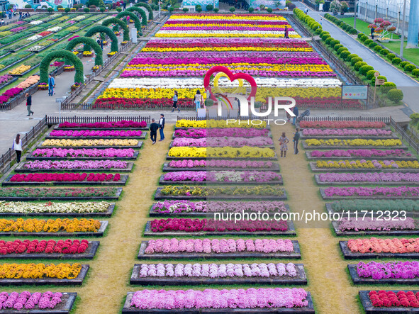 Tourists view chrysanthemums at the Chrysanthemum Garden at Jiangning Lake in Nanjing, China, on October 27, 2024. 