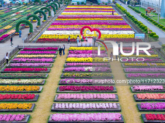 Tourists view chrysanthemums at the Chrysanthemum Garden at Jiangning Lake in Nanjing, China, on October 27, 2024. (