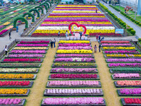 Tourists view chrysanthemums at the Chrysanthemum Garden at Jiangning Lake in Nanjing, China, on October 27, 2024. (