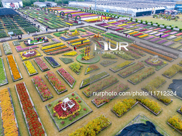 Tourists view chrysanthemums at the Chrysanthemum Garden at Jiangning Lake in Nanjing, China, on October 27, 2024. 