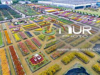 Tourists view chrysanthemums at the Chrysanthemum Garden at Jiangning Lake in Nanjing, China, on October 27, 2024. (