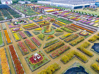 Tourists view chrysanthemums at the Chrysanthemum Garden at Jiangning Lake in Nanjing, China, on October 27, 2024. (