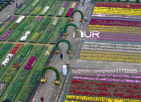 Tourists view chrysanthemums at the Chrysanthemum Garden at Jiangning Lake in Nanjing, China, on October 27, 2024. 