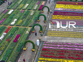 Tourists view chrysanthemums at the Chrysanthemum Garden at Jiangning Lake in Nanjing, China, on October 27, 2024. (