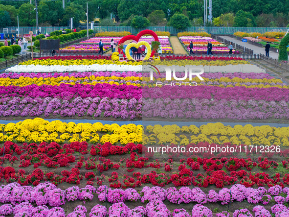 Tourists view chrysanthemums at the Chrysanthemum Garden at Jiangning Lake in Nanjing, China, on October 27, 2024. 