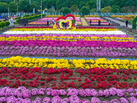 Tourists view chrysanthemums at the Chrysanthemum Garden at Jiangning Lake in Nanjing, China, on October 27, 2024. (