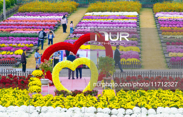 Tourists view chrysanthemums at the Chrysanthemum Garden at Jiangning Lake in Nanjing, China, on October 27, 2024. 