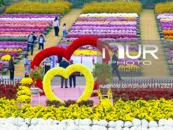 Tourists view chrysanthemums at the Chrysanthemum Garden at Jiangning Lake in Nanjing, China, on October 27, 2024. (