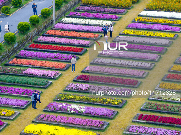 Tourists view chrysanthemums at the Chrysanthemum Garden at Jiangning Lake in Nanjing, China, on October 27, 2024. 