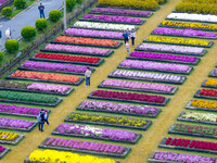 Tourists view chrysanthemums at the Chrysanthemum Garden at Jiangning Lake in Nanjing, China, on October 27, 2024. (