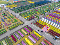 Tourists view chrysanthemums at the Chrysanthemum Garden at Jiangning Lake in Nanjing, China, on October 27, 2024. (