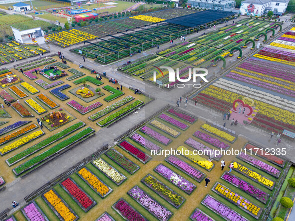 Tourists view chrysanthemums at the Chrysanthemum Garden at Jiangning Lake in Nanjing, China, on October 27, 2024. 