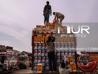 Workers load apple boxes onto trucks, which are sent to different parts of the country from Asia's largest fruit market in Sopore, Jammu and...