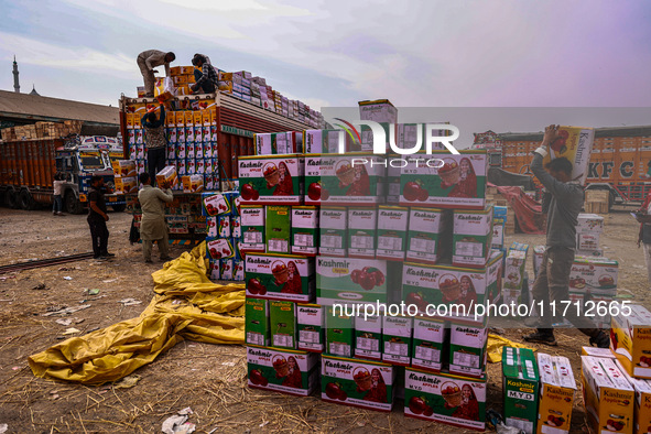 Workers load apple boxes onto trucks, which are sent to different parts of the country from Asia's largest fruit market in Sopore, Jammu and...