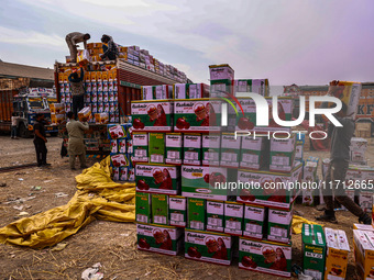 Workers load apple boxes onto trucks, which are sent to different parts of the country from Asia's largest fruit market in Sopore, Jammu and...