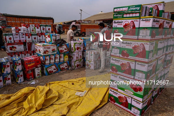 Workers load apple boxes onto trucks, which are sent to different parts of the country from Asia's largest fruit market in Sopore, Jammu and...