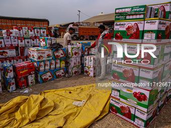 Workers load apple boxes onto trucks, which are sent to different parts of the country from Asia's largest fruit market in Sopore, Jammu and...