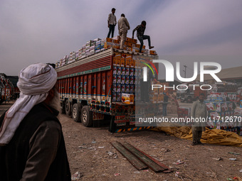 Workers load apple boxes onto trucks, which are sent to different parts of the country from Asia's largest fruit market in Sopore, Jammu and...