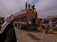 Workers load apple boxes onto trucks, which are sent to different parts of the country from Asia's largest fruit market in Sopore, Jammu and...