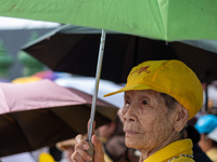 Thousands of well-wishers turn up along the shores of the Chao Phraya River in Bangkok, Thailand, on October 27, 2024, to watch Thai King Ma...