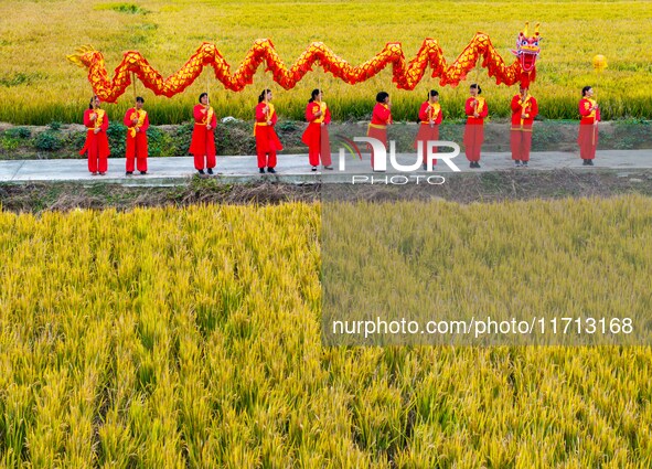 Villagers wave golden dragons in the fields to celebrate another harvest season in Qihu village, Huai'an city, Jiangsu province, China, on O...