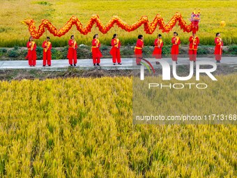 Villagers wave golden dragons in the fields to celebrate another harvest season in Qihu village, Huai'an city, Jiangsu province, China, on O...