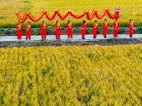 Villagers wave golden dragons in the fields to celebrate another harvest season in Qihu village, Huai'an city, Jiangsu province, China, on O...