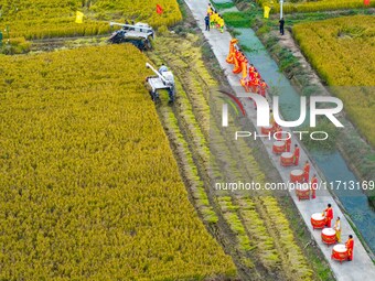 Villagers beat gongs, drums, and wave golden dragons in the fields to celebrate another harvest season in Qihu village, Huai'an city, Jiangs...