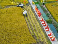 Villagers beat gongs, drums, and wave golden dragons in the fields to celebrate another harvest season in Qihu village, Huai'an city, Jiangs...