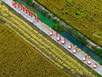 Villagers beat gongs, drums, and wave golden dragons in the fields to celebrate another harvest season in Qihu village, Huai'an city, Jiangs...