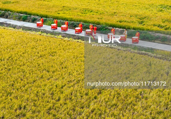 Villagers beat gongs and drums in the fields to celebrate another harvest season in Qihu village, Huai'an city, East China's Jiangsu provinc...