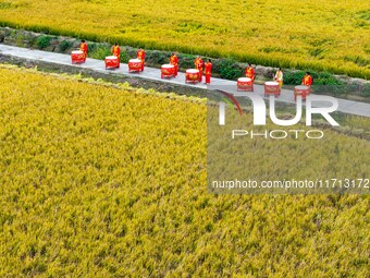 Villagers beat gongs and drums in the fields to celebrate another harvest season in Qihu village, Huai'an city, East China's Jiangsu provinc...