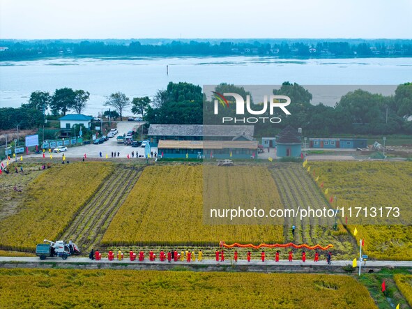 Villagers beat gongs, drums, and wave golden dragons in the fields to celebrate another harvest season in Qihu village, Huai'an city, Jiangs...