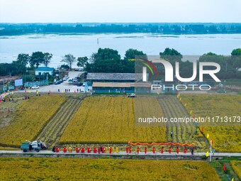 Villagers beat gongs, drums, and wave golden dragons in the fields to celebrate another harvest season in Qihu village, Huai'an city, Jiangs...