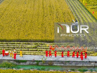 Villagers beat gongs, drums, and wave golden dragons in the fields to celebrate another harvest season in Qihu village, Huai'an city, Jiangs...