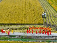 Villagers beat gongs, drums, and wave golden dragons in the fields to celebrate another harvest season in Qihu village, Huai'an city, Jiangs...