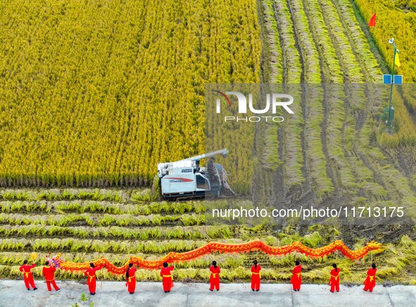 Villagers wave golden dragons in the fields to celebrate another harvest season in Qihu village, Huai'an city, Jiangsu province, China, on O...