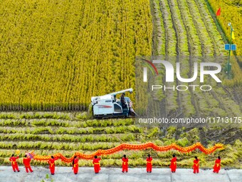 Villagers wave golden dragons in the fields to celebrate another harvest season in Qihu village, Huai'an city, Jiangsu province, China, on O...