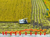 Villagers wave golden dragons in the fields to celebrate another harvest season in Qihu village, Huai'an city, Jiangsu province, China, on O...