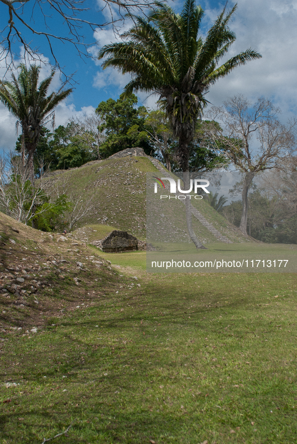 Altun Ha is occupied for many centuries, from about 900 B.C. to A.D. 1000. Most of the information on Altun Ha comes from the Classic Period...