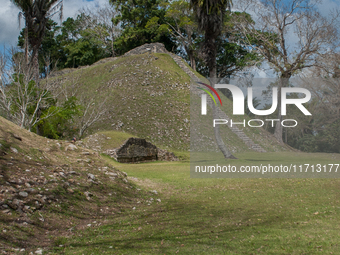 Altun Ha is occupied for many centuries, from about 900 B.C. to A.D. 1000. Most of the information on Altun Ha comes from the Classic Period...