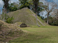 Altun Ha is occupied for many centuries, from about 900 B.C. to A.D. 1000. Most of the information on Altun Ha comes from the Classic Period...